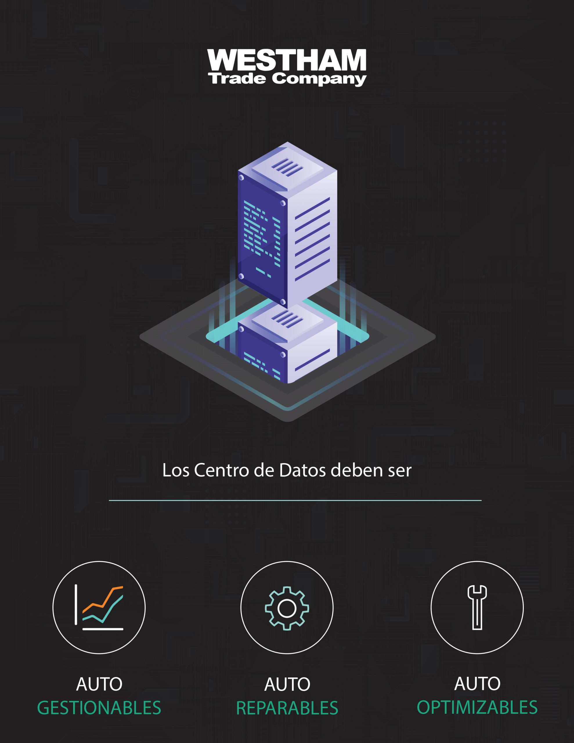video2marketdatacenterinfosightESP
